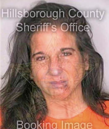 Meerovitz Tina - Hillsborough County, FL 