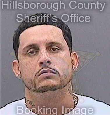 Thomas Christopher - Hillsborough County, FL 