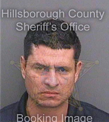 Gonzalez David - Hillsborough County, FL 