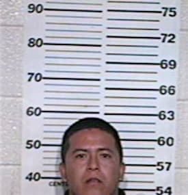 Mejia Armando - Hidalgo County, TX 