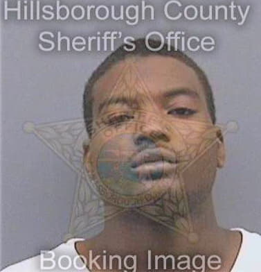 Bowie Damian - Hillsborough County, FL 