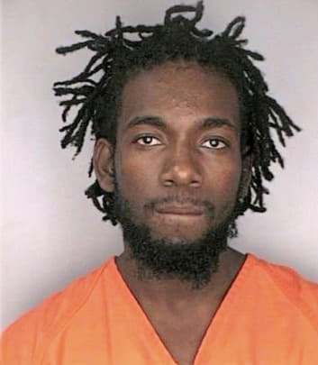 Bonheur Johny - Hillsborough County, FL 