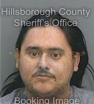 Hernandez Ivan - Hillsborough County, FL 