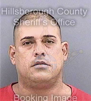 Perez Luis - Hillsborough County, FL 