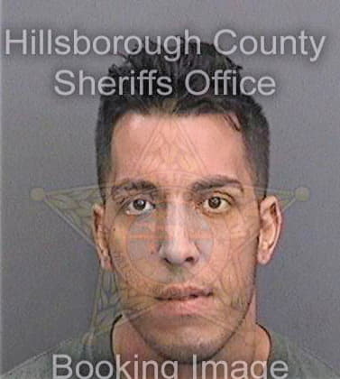 Dileonardo David - Hillsborough County, FL 