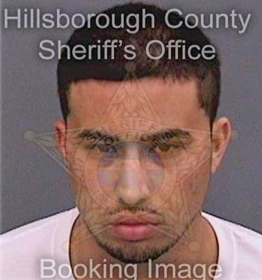 Wyand Adam - Hillsborough County, FL 