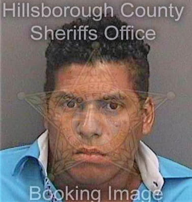 Corderoalvarez Alejandro - Hillsborough County, FL 