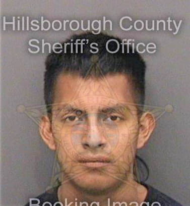 Bartolome Aparicio - Hillsborough County, FL 