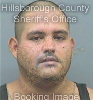 Porras Martin - Hillsborough County, FL 