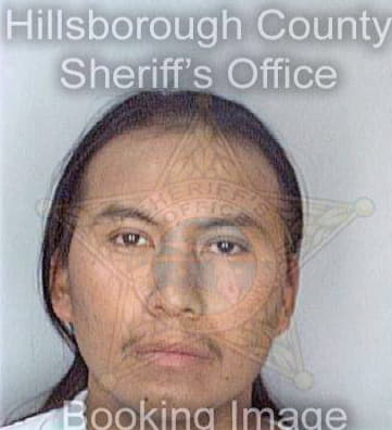 Pasohondo Jose - Hillsborough County, FL 