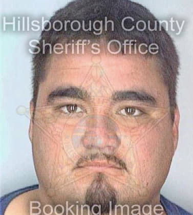 Garcia Alejandro - Hillsborough County, FL 