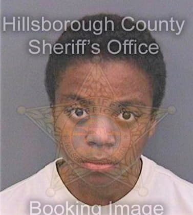 Bostic Donte - Hillsborough County, FL 