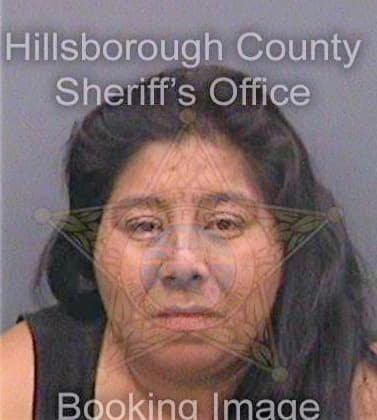 Martinezgiles Erika - Hillsborough County, FL 