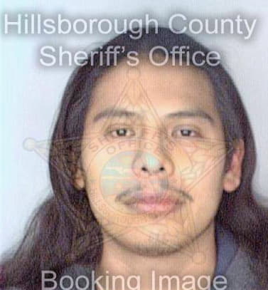 Gonzalez Arnulfo - Hillsborough County, FL 