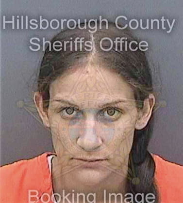 Mesa Ashley - Hillsborough County, FL 