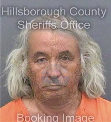 Meridagomez Esteban - Hillsborough County, FL 