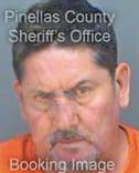 Garcia Leonel - Pinellas County, FL 