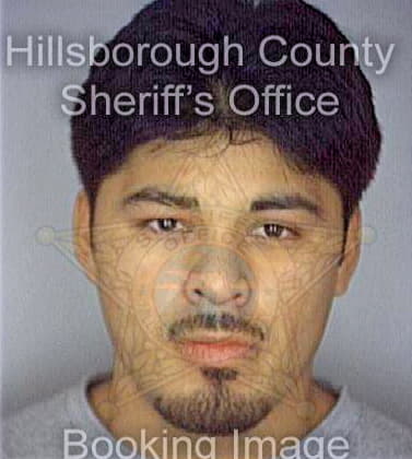 Garcia Juan - Hillsborough County, FL 