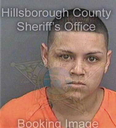 Meza Antonio - Hillsborough County, FL 