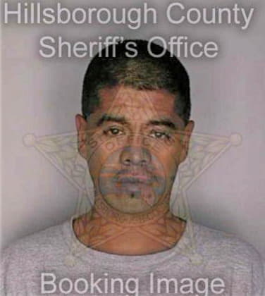 Medina Jesus - Hillsborough County, FL 
