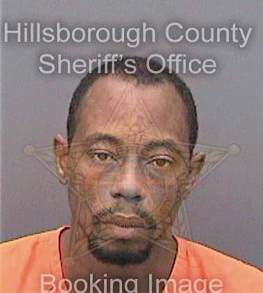 Simmons Justin - Hillsborough County, FL 