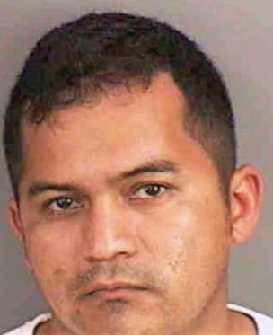 Hernandezmartinez Carlos - Collier County, FL 