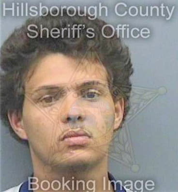 Navarro Rolando - Hillsborough County, FL 