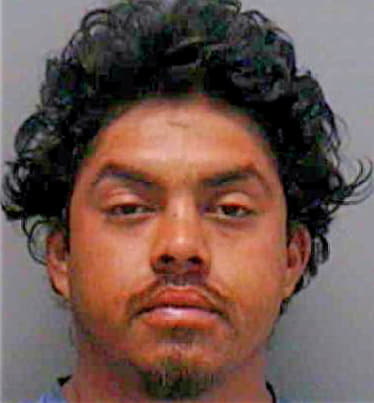 Vega Jorge - Lee County, FL 