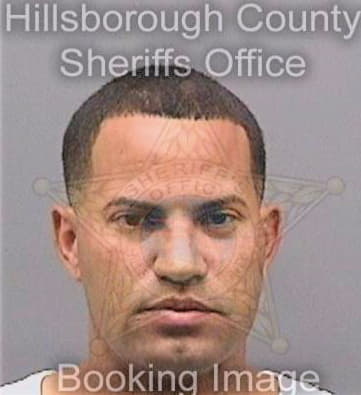 Mendozalebron Elvin - Hillsborough County, FL 