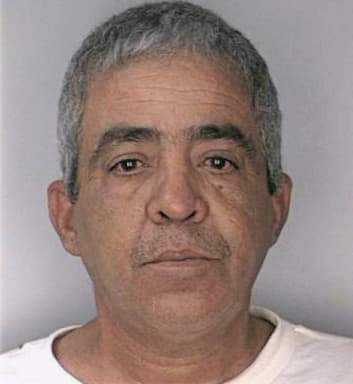 Fernandez Isaias - Hillsborough County, FL 