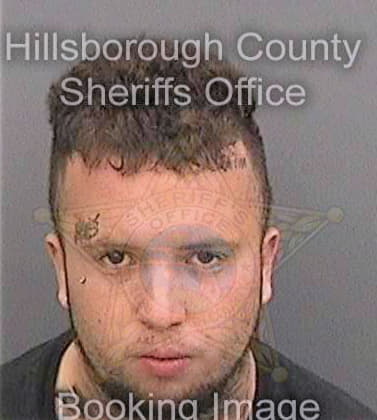 Martinez Richard - Hillsborough County, FL 