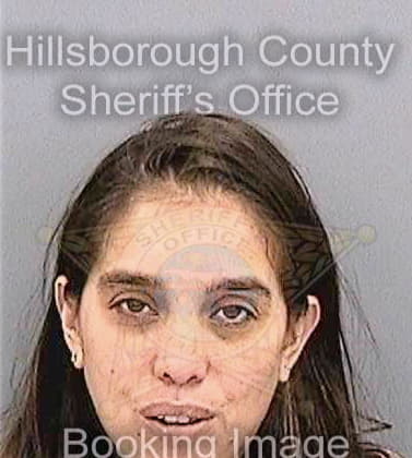Mclean Linda - Hillsborough County, FL 