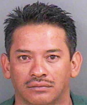 Espinal Jose - Collier County, FL 