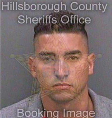 Diazcaro Orlandy - Hillsborough County, FL 