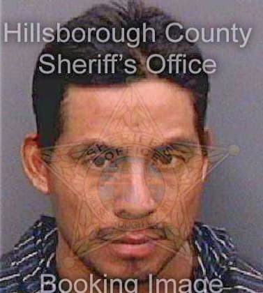 Lopezperez Christian - Hillsborough County, FL 