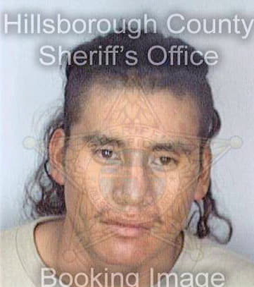 Perezrefugio Mauro - Hillsborough County, FL 