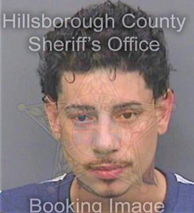 Ravelo Julio - Hillsborough County, FL 