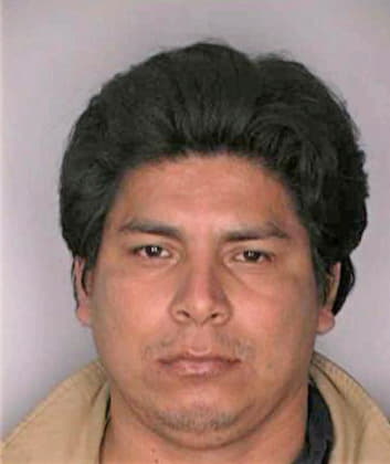 Hernandez Saturnino - Hillsborough County, FL 