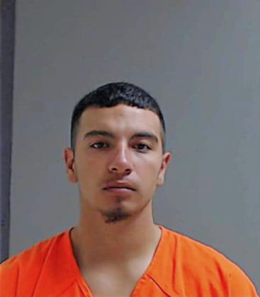 Cardenas Carlos - Hidalgo County, TX 