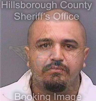 Martinez Rolando - Hillsborough County, FL 