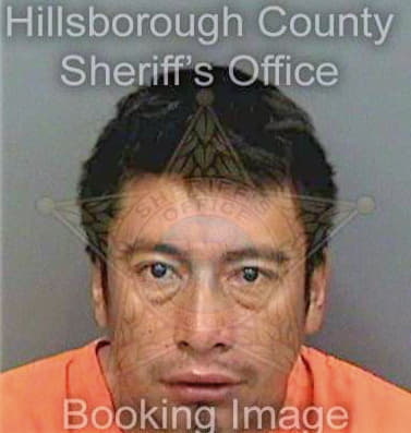 Mendezperez Walter - Hillsborough County, FL 