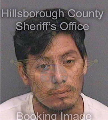 Diazperez Ramon - Hillsborough County, FL 