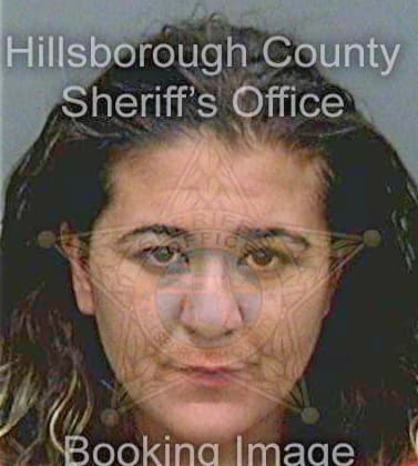 Bos Alina - Hillsborough County, FL 