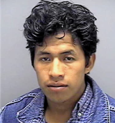 Reynoso Miguel - Lee County, FL 