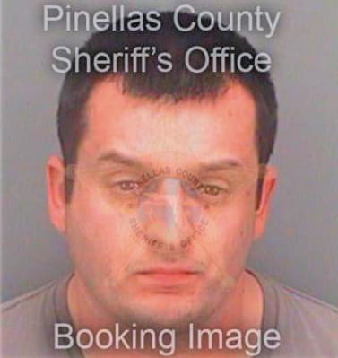 Alunovic Igor - Pinellas County, FL 