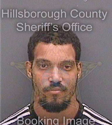 Wallace Nathanael - Hillsborough County, FL 