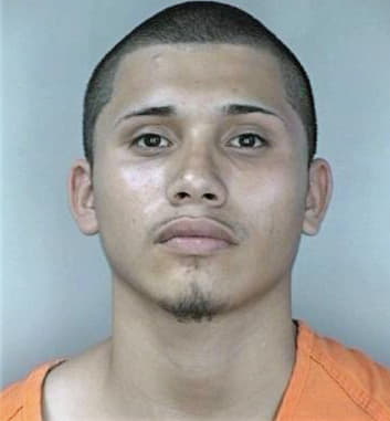 Gonzalez Josue - Hillsborough County, FL 