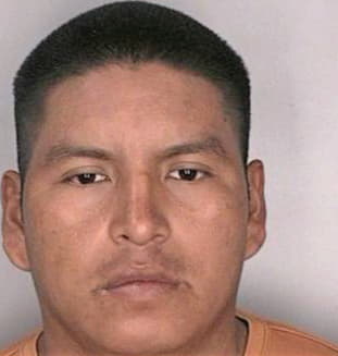 Mendezruiz Carlos - Hillsborough County, FL 