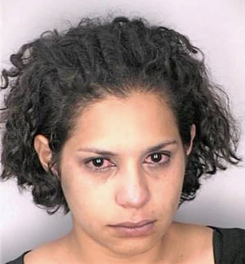 Patino Jeanine - Hillsborough County, FL 