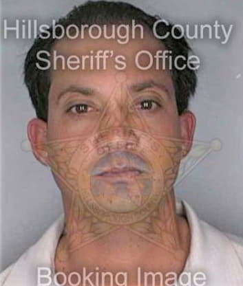Medinarios Luis - Hillsborough County, FL 